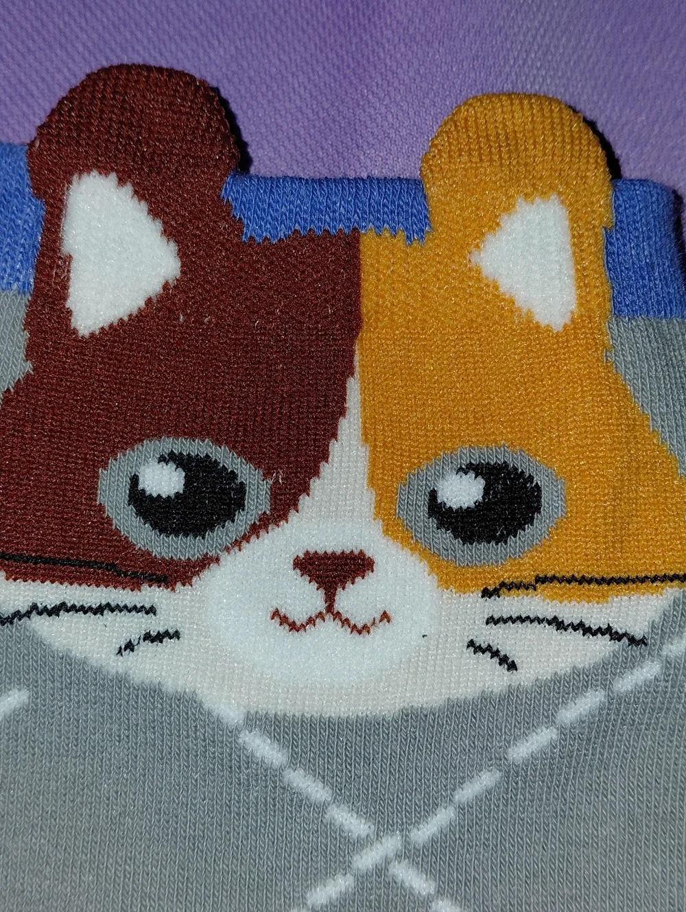 N/A cute calico